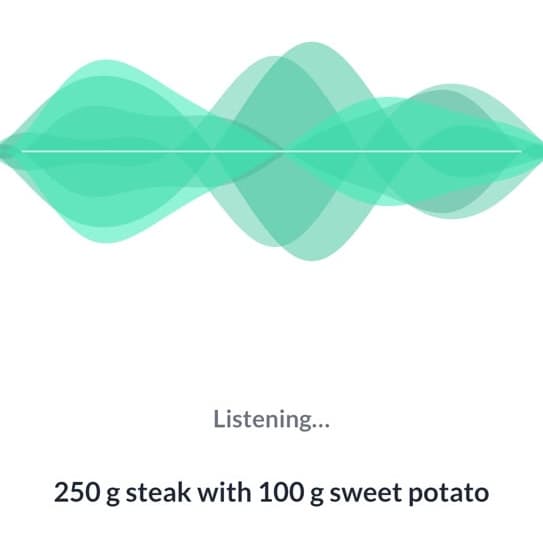 Voice log listening to 250 g steak with 100 g sweet potato
